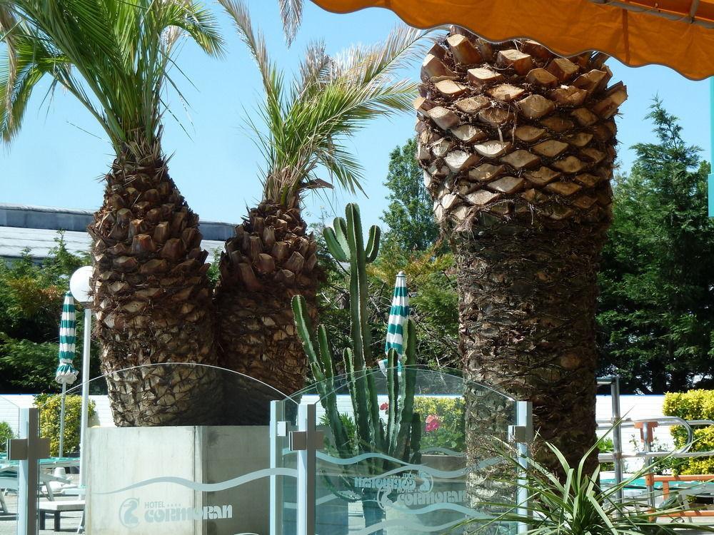 Hotel Cormoran ריצ'יונה מראה חיצוני תמונה